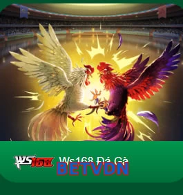 BETVDN